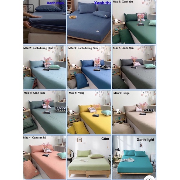 ga gối Côttong tc (1 ga+2 vỏ gối )