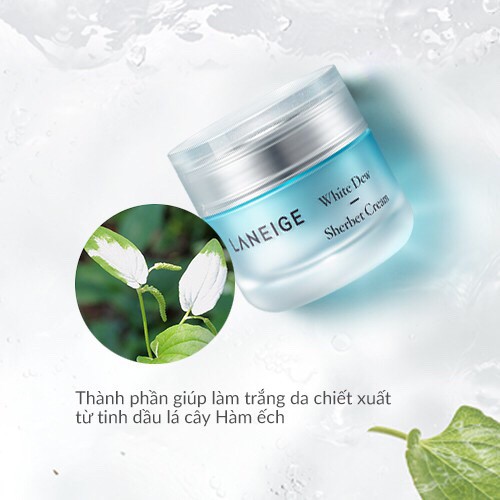 ( Hàng công ty) Kem dưỡng trắng Laneige White Dew Sherbet Cream 50ml