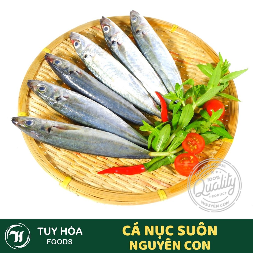 Cá Nục Suôn Tươi Nguyên Con Khay 500g - Cá Biển Tươi Phú Yên Chưa Qua Chế Biến 100% Không Hóa Chất Bảo Quản