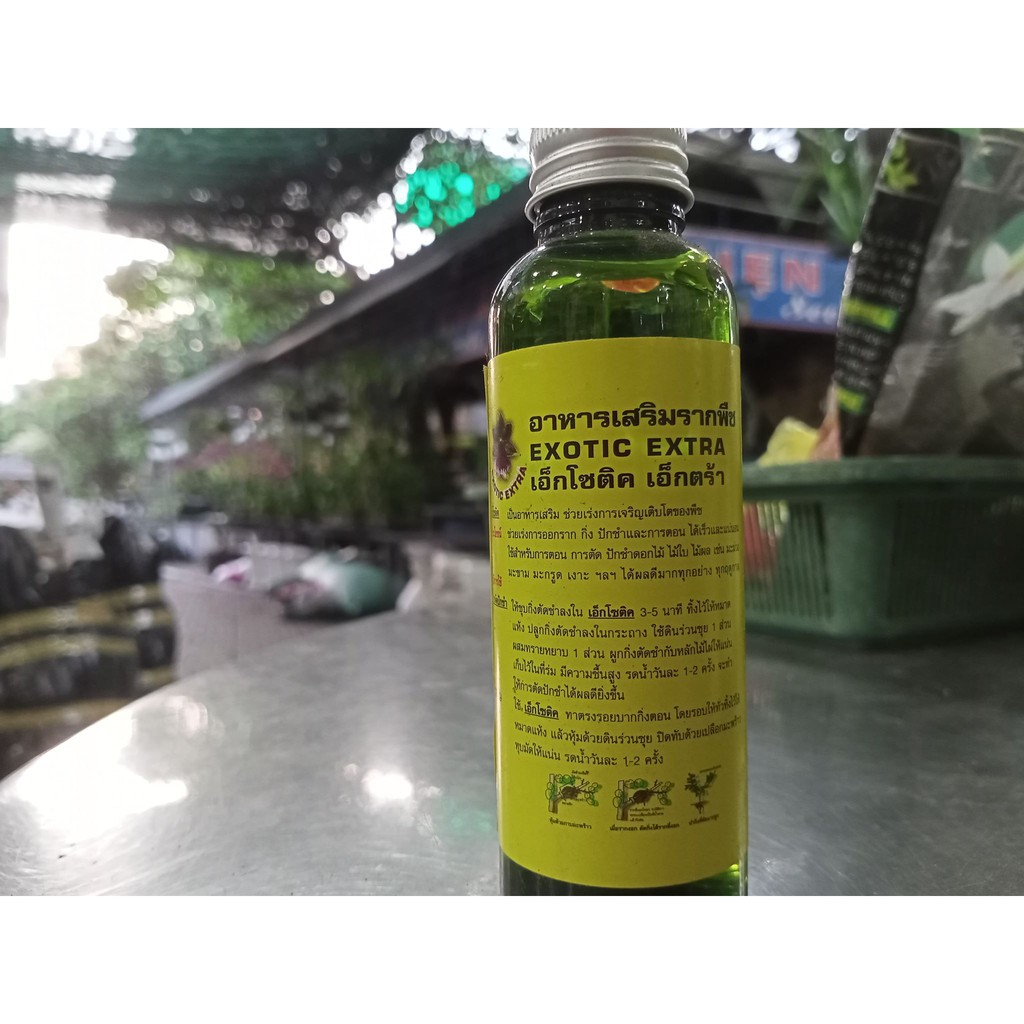 Exotic kích rễ Thái chai nhựa