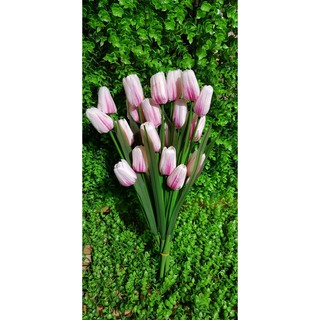 HOA TULIP VẢI
