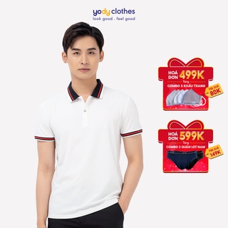 Áo thun polo nam YODY mắt chim cao cấp mềm mịn thông thoáng cho da APM3641