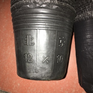 Chậu mềm ươm cây- 1kg