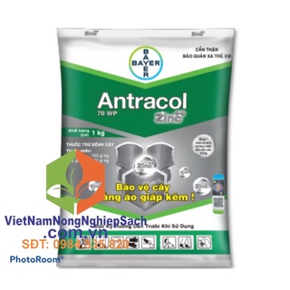 ANTRACOL Đ ẶC T RỊ NẤ M BỆ NH CHO CÂY TRỒNG 1kg