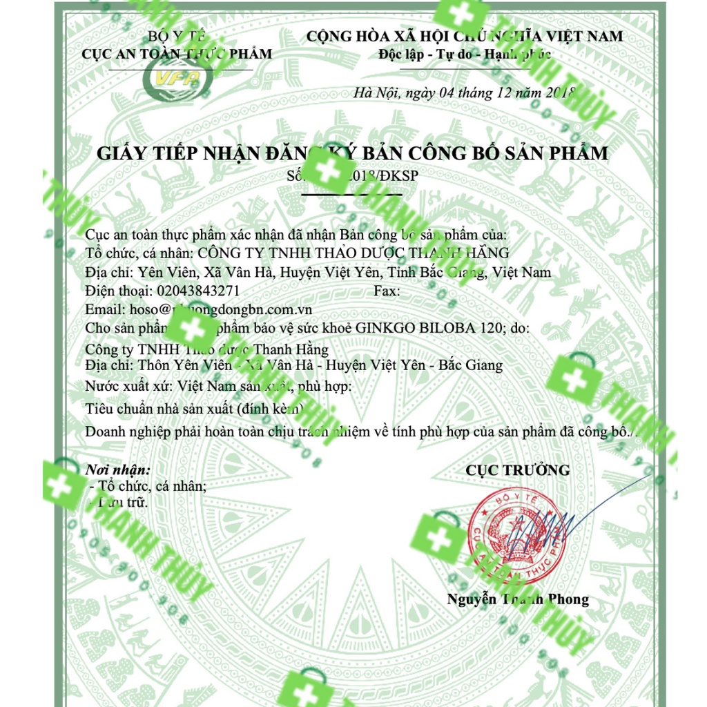 Ginkgo Biloba 120Mg Magnesium B6 - Thanh Hằng  Hỗ Trợ Hoạt Huyết, Giúp Tăng Cường Tuần Hoàn Não