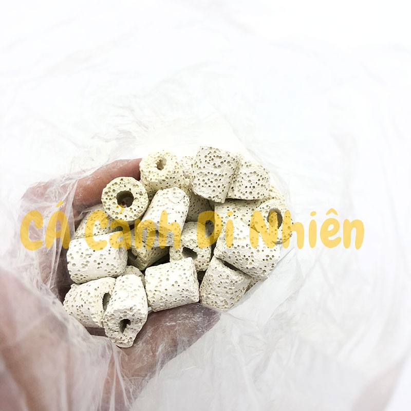 Sứ lỗ lọc nước bể cá  vật liệu lọc hồ cá, bể cá cảnh cacanhdinhien