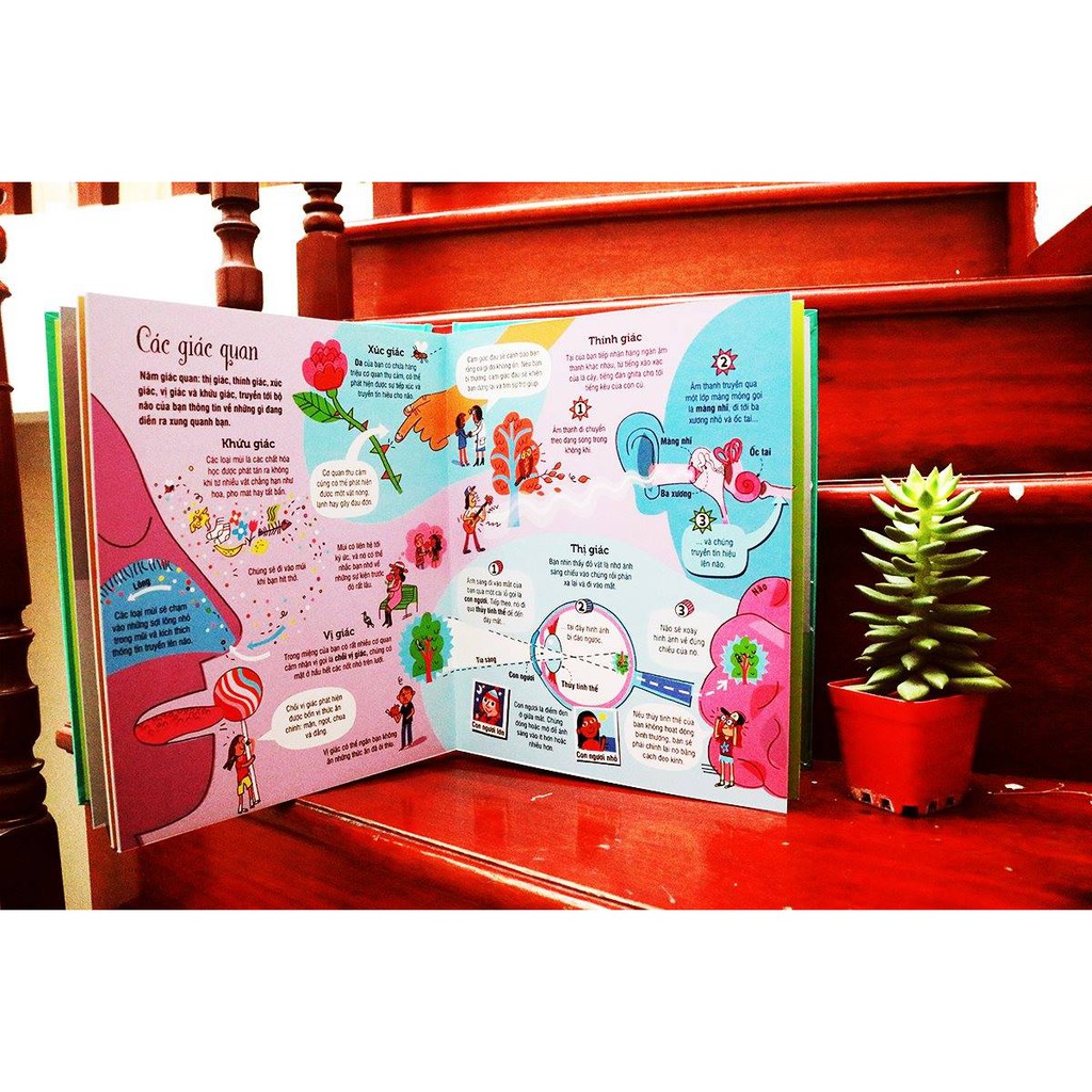 Sách - Big book - Cuốn sách khổng lồ về cơ thể người