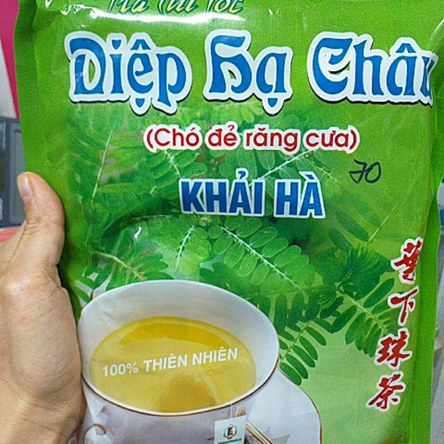 Trà túi lọc Diệp Hạ Châu 100 gói