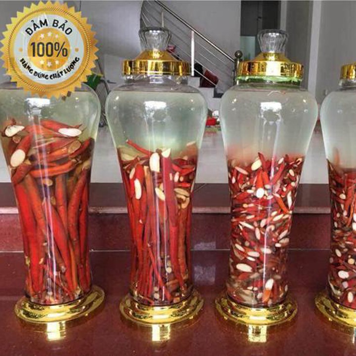 Sâm cau đỏ - Rừng Tây bắc | BigBuy360 - bigbuy360.vn