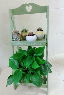 Kệ để cây cảnh trong nhà