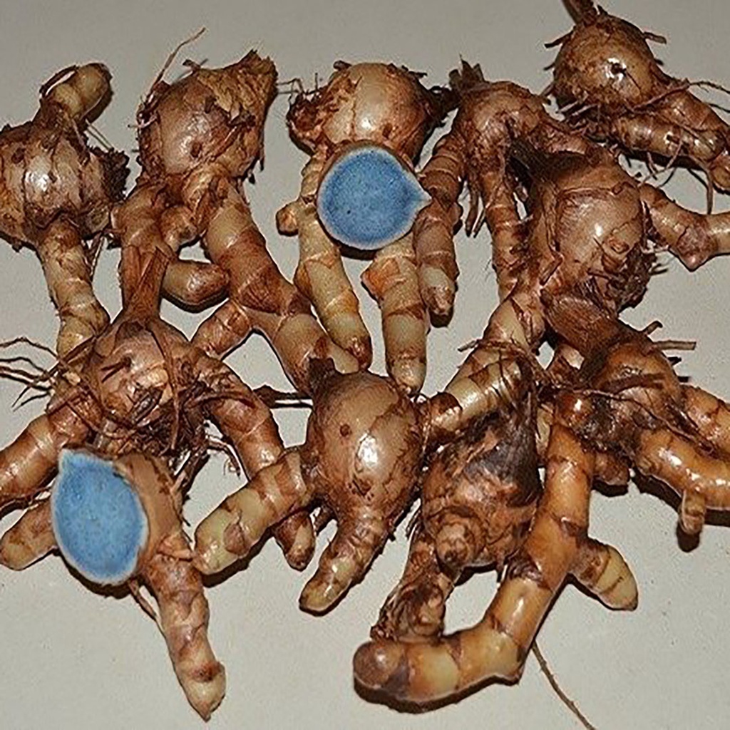 Tinh Bột Nghệ Đen Nguyên Chất Đắk Lắk Xịn 500g