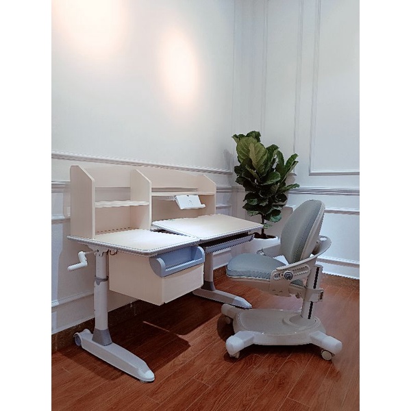 Ghế chống gù chống cận Ergonomic Crown C 02 plus