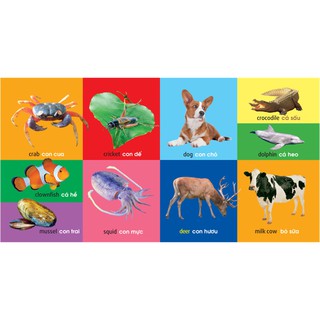 101 First Words - Animals