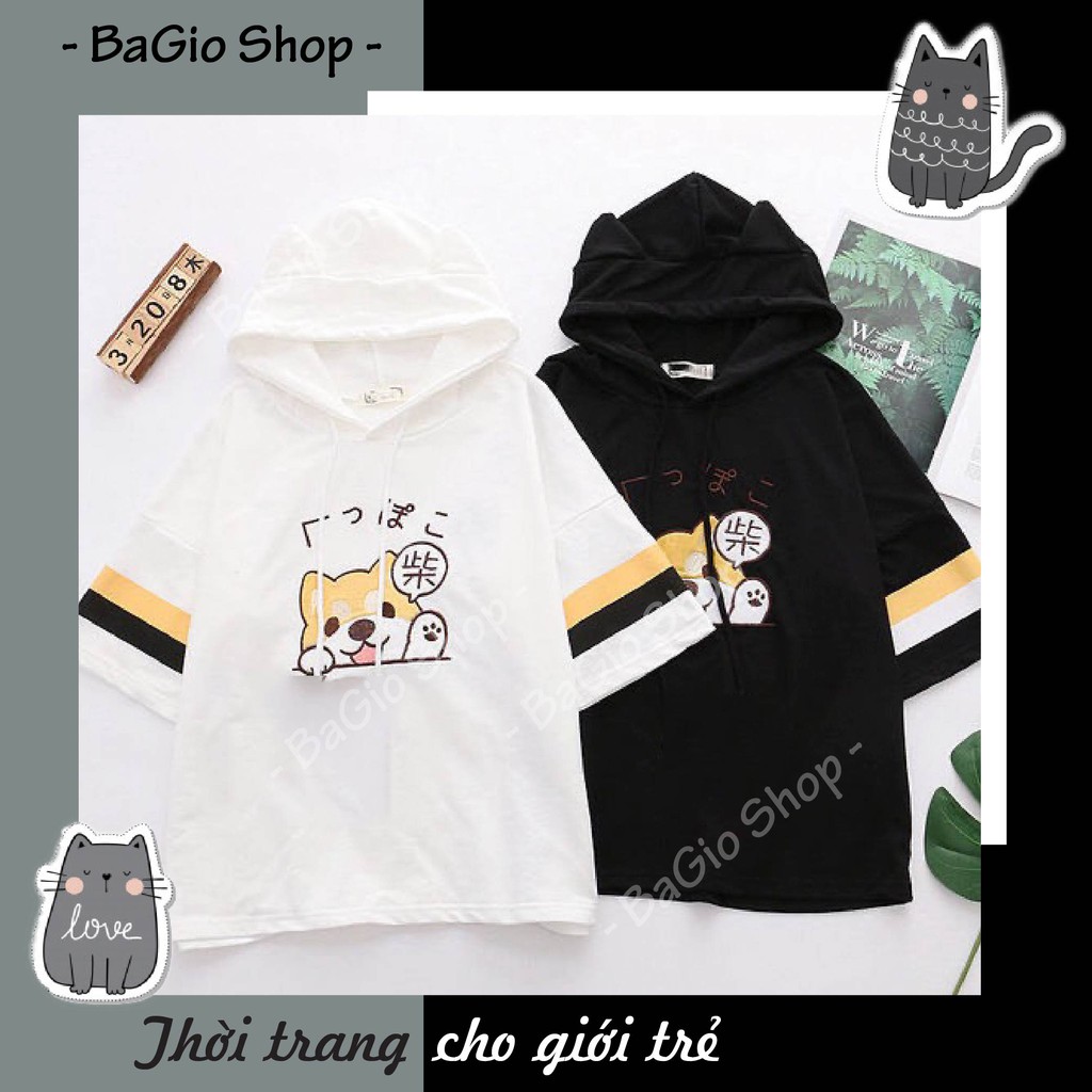 Áo phông hoodie cotton - áo thun unisex tay ngắn mùa hè in hình mèo cún | BigBuy360 - bigbuy360.vn