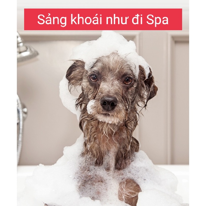 Sữa tắm nước hoa cao cấp cho chó mèo 500ml - Dưỡng lông siêu mượt  - Trị ngứa da, loại ve rận