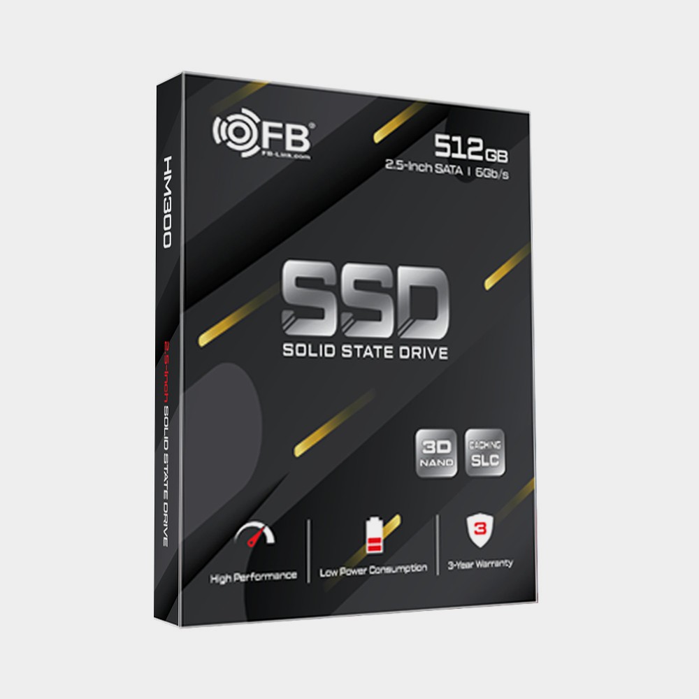 Ổ CỨNG THỂ RẮN SSD FB-LINK HM-300 1TB - 512GB SATA III CHÍNH HÃNG - BẢO HÀNH 36 THÁNG 1 ĐỔI 1 | BigBuy360 - bigbuy360.vn