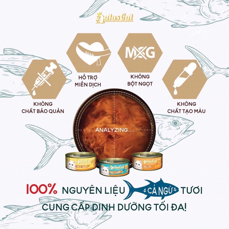 Pate Aatas Cat cá ngừ cho mèo dạng thạch _ Tantalizing Tuna
