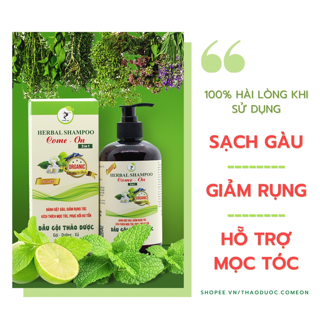 Dầu gội thảo dược giúp mọc tóc, ngăn rụng tóc 500ml 3in1 cao cấp | BigBuy360 - bigbuy360.vn