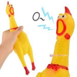 Gà bóp kêu Shrilling Chicken, gà A Lử