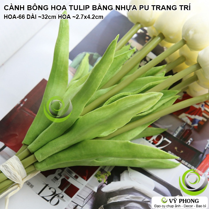 CÀNH BÔNG HOA TULIP DECOR NHÀ CỬA PHÒNG KHÁCH TRANG TRÍ CHỤP ẢNH SẢN PHẨM INS ĐẠO CỤ CHỤP HÌNH HOA-66