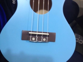 Đàn Ukulele Concert MT39 ( CB3 )