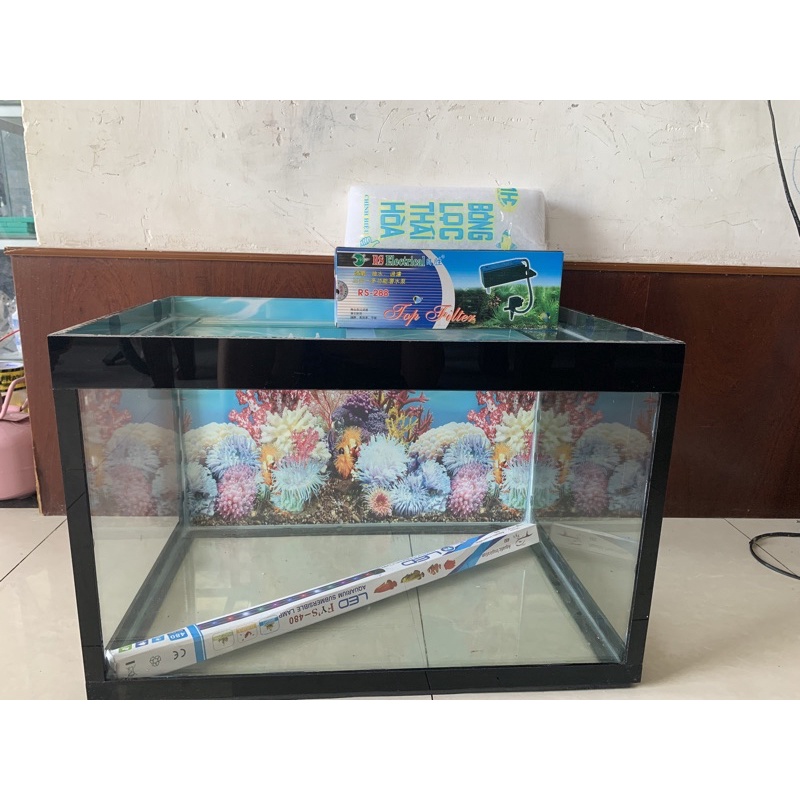 combo hồ cá 60x40x40 dài rộng cao