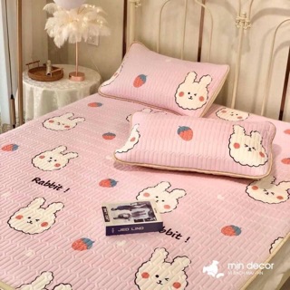 CHIẾU ĐIỀU HOÀ CAO SU NON