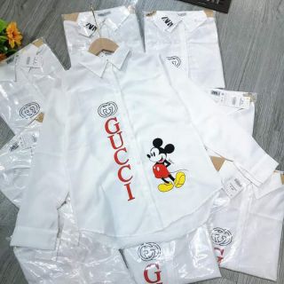 Áo chuột GC kèm ảnh thật