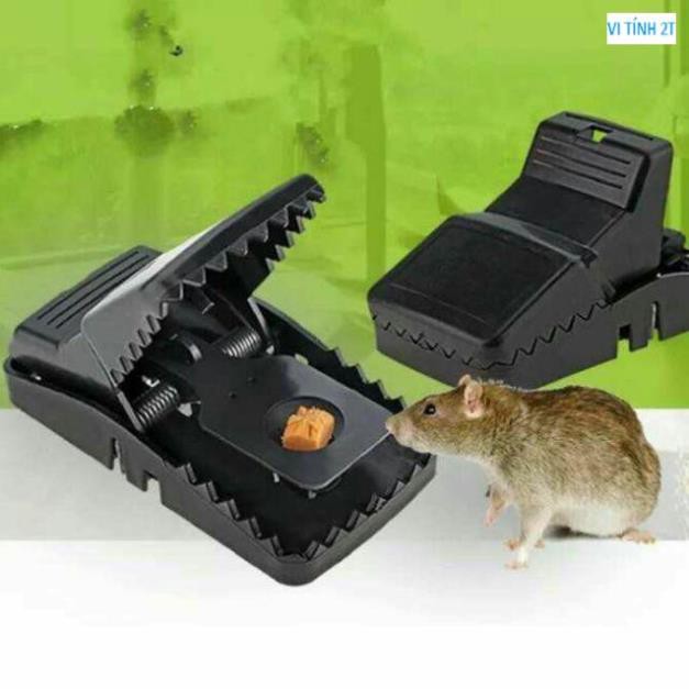 bẫy chuột cạp cá sấu