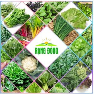 Hạt giống rau ăn lá trồng chậu, rau ăn lá chịu nhiệt tốt, trồng quanh năm - hạt giống rạng đông