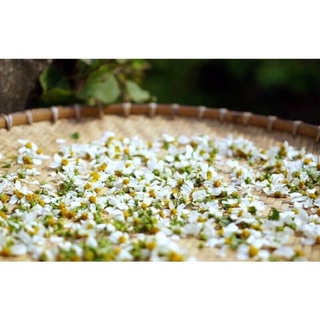 1kg hoa xuyến chi phơi khô