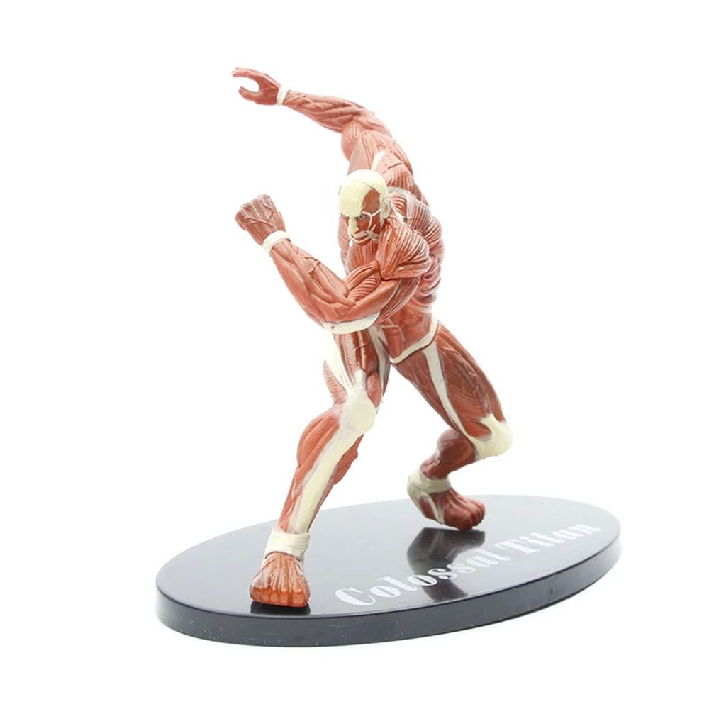 BRAUN Mô hình nhân vật Eren Jaeger trong Attack on Titan 16cm bằng PVC