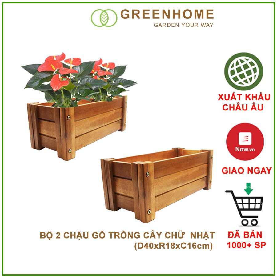 Bộ 2 Chậu gỗ trồng cây, chữ nhật, D40xR16xC16cm, gỗ Tràm chịu nước, tặng 1 hộp dưỡng hoa tươi lâu |Greenhome