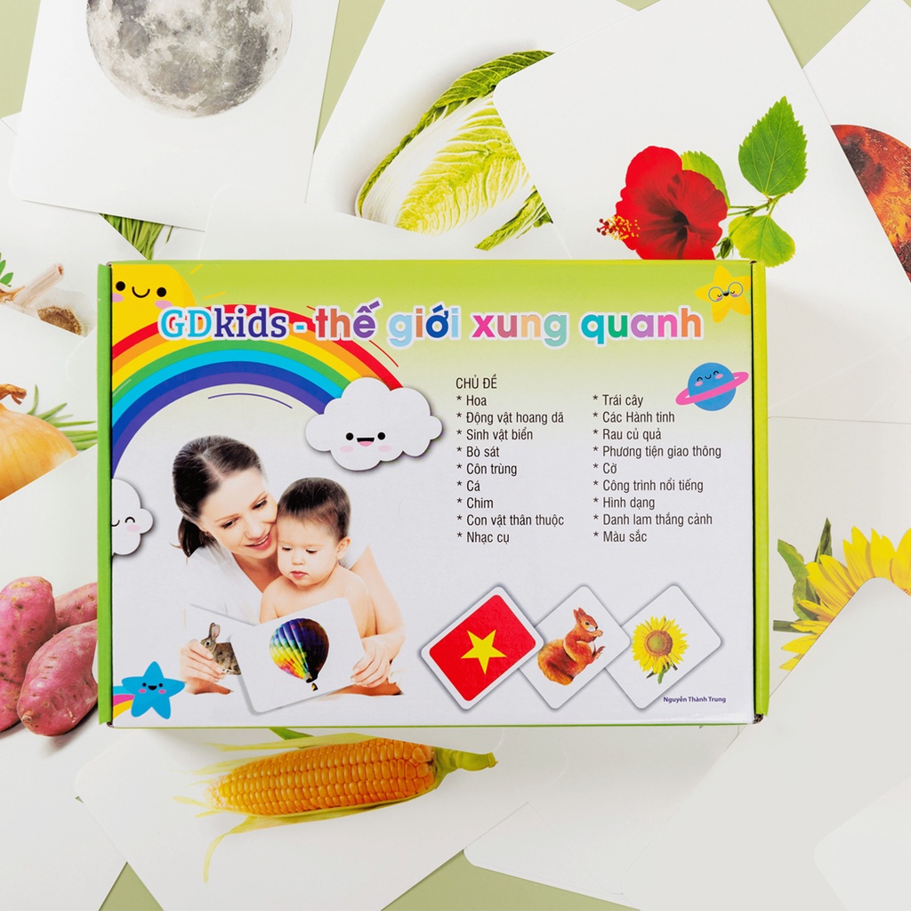 Bộ thẻ Flashcard cho bé -  Thế Giới Xung Quanh Flashcard theo phương pháp Glenn Doman (Hộp 300 Thẻ) - TN0006