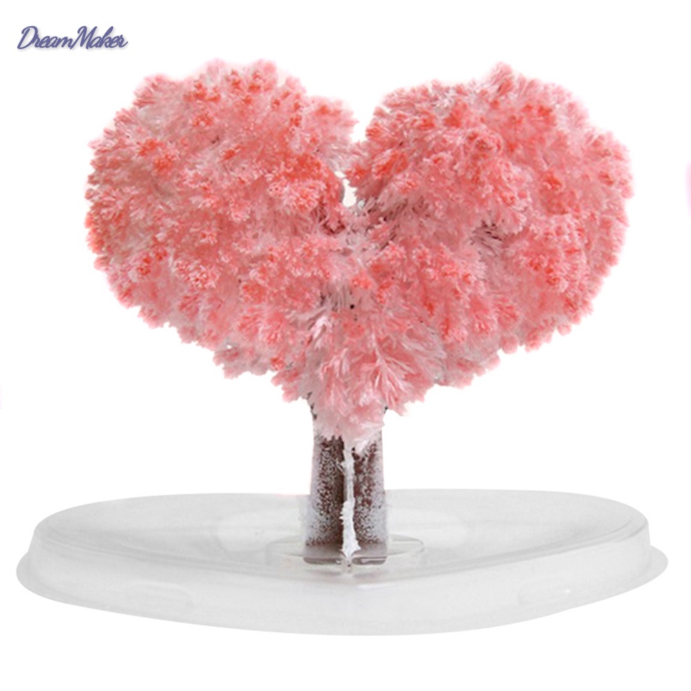 Cây giấy nở hoa anh đào thần kỳ | BigBuy360 - bigbuy360.vn