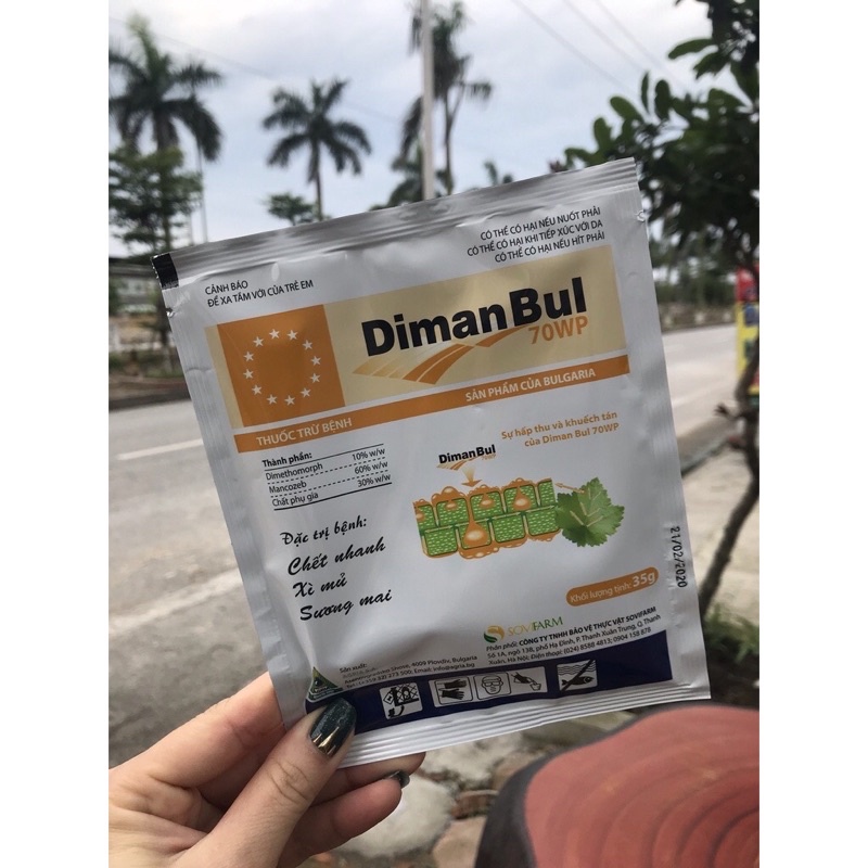 Đặc trị bệnh nấm xì mủ, sương mai, trên hoa Hồng, hoa Lan