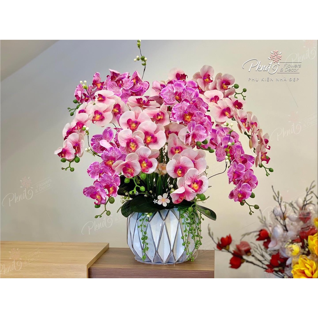 Hoa Lan Hồ Điệp cành 2 nhánh, sẵn lá - Hàng cao cấp lên bình nhanh gọn