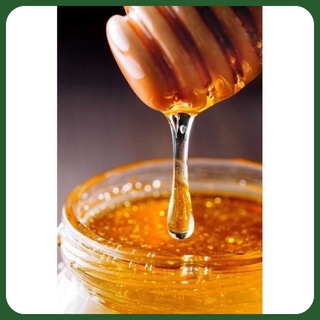 Mật ong nguyên chất hoa cà phê 50g