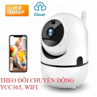 Camera wifi ko dây ycc365plus theo dõi chuyển động xoay 360 độ.