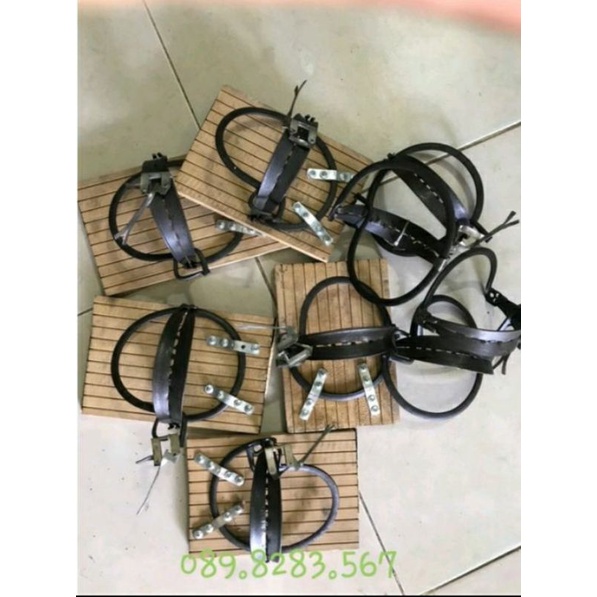 Bẩy chim cú mèo