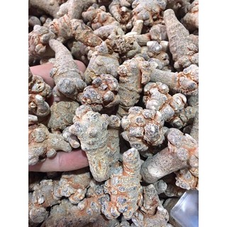 500g củ tam thất khô loại 9 củ/100g