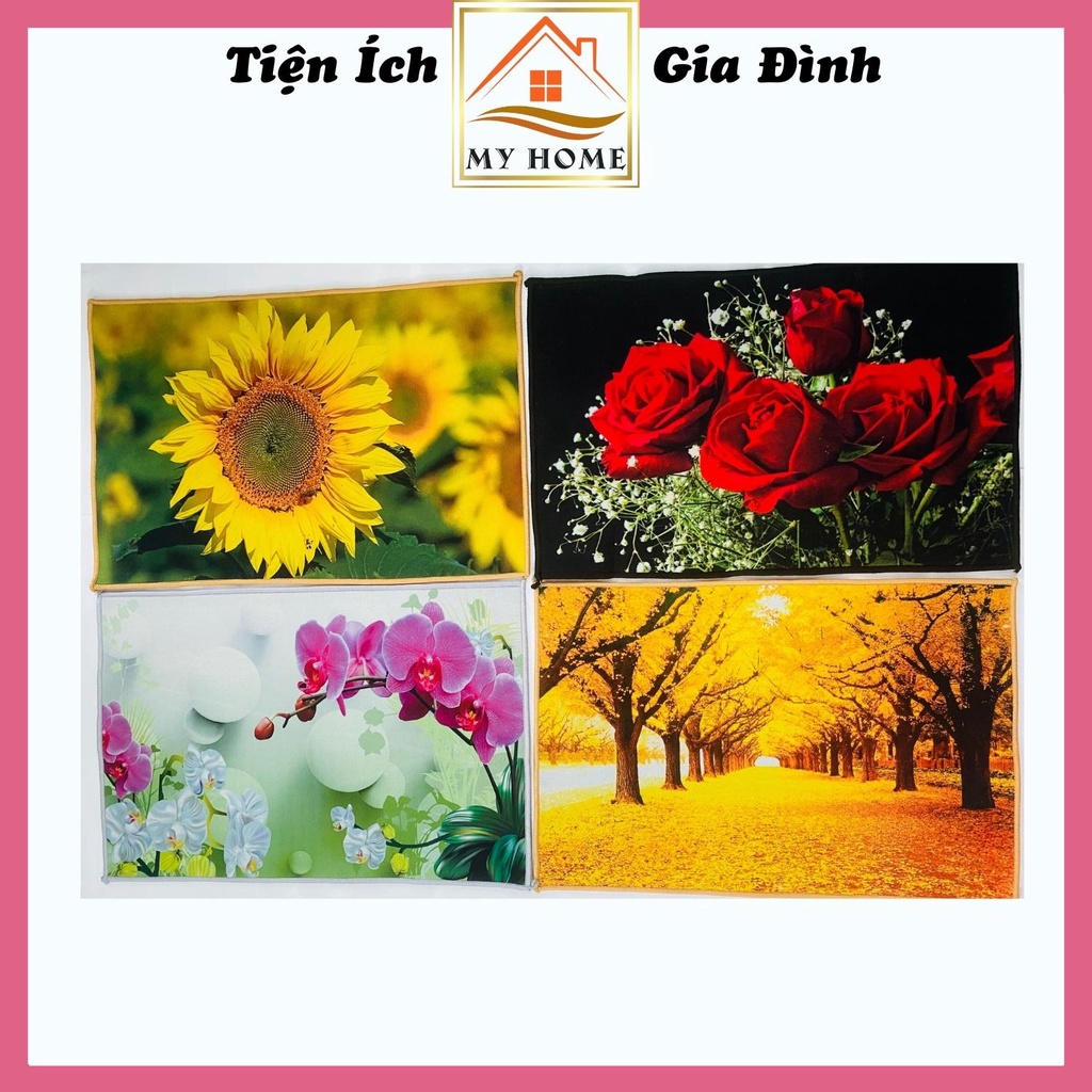 Thảm lau chân 3D, thảm chùi chân phòng khách họa tiết cực đẹp, kích thước 40x60cm