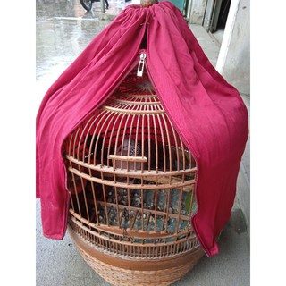 áo lồng chim cu gáy đỏ đô