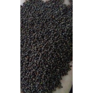 Hạt mần ri hoa vàng 1kg