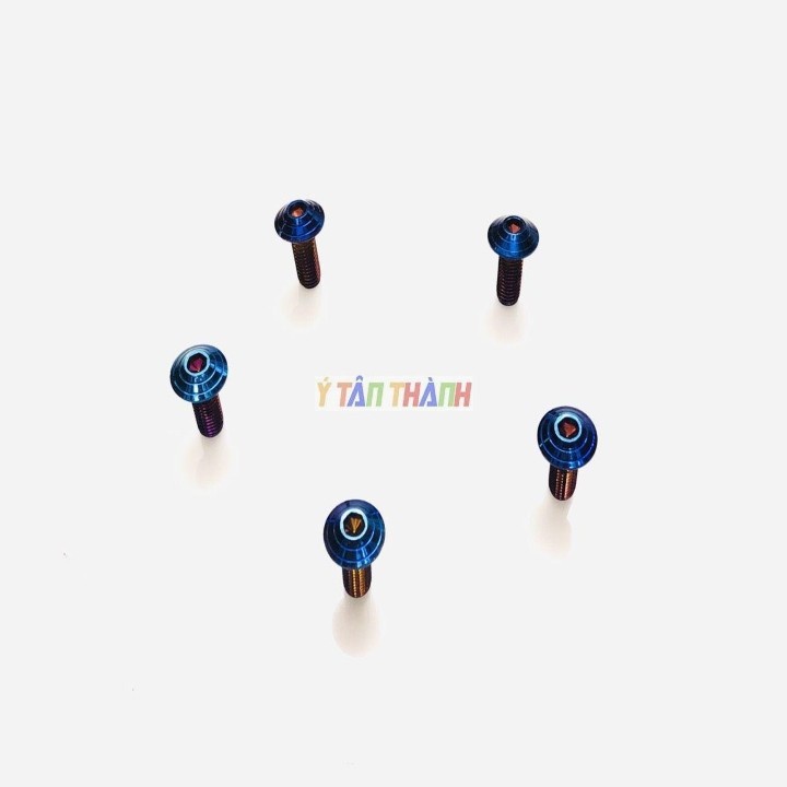 Ốc Đĩa 8Ly Xanh Titan Bộ 5 Con MS1303