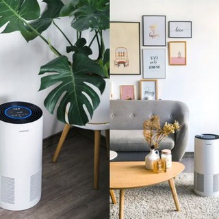Máy lọc không khí Hafele CF-8209 (40 - 60m2)