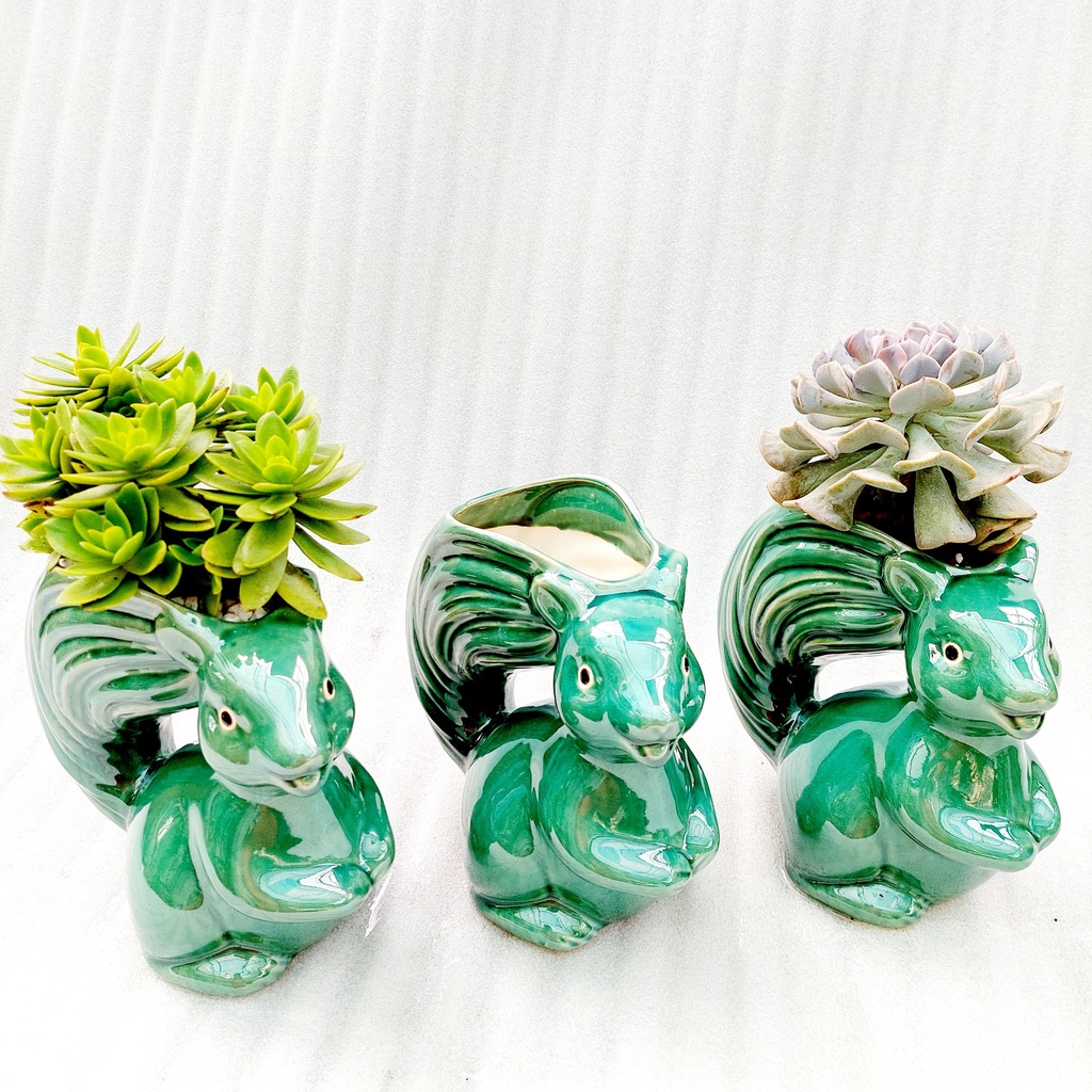 Chậu men, Chậu sen đá - Sóc tinh nghịch, miệng chậu (dọc 11cm, ngang 9cm), chiều cao 20cm