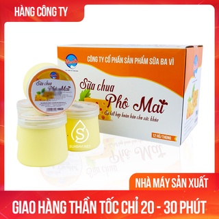 Sữa Chua Phô Mai Ba Vì - Zmilk - Thùng 12 Hũ