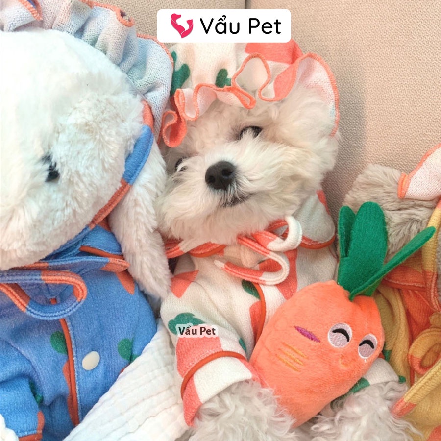 Đồ chơi cho chó mèo cà rốt bông Vẩu Pet Shop