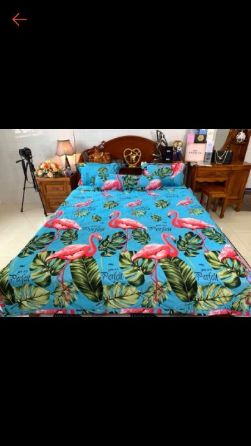 Bộ ga thun hàn quốc 4 món